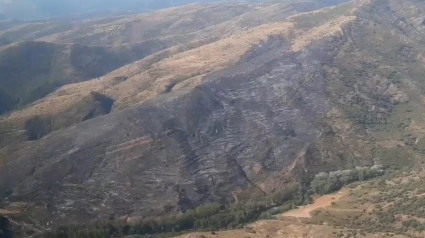 Valdeperillo "no ha estado en grave peligro" por el incendio forestal ya controlado