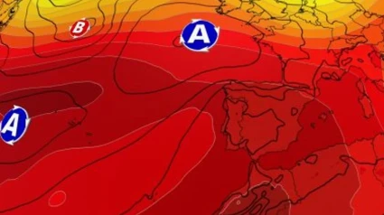 Irene Cortés, directora general del Servicio de Protección Civil