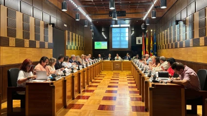 Pleno Agosto ayuntamiento de Huesca
