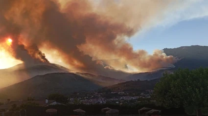Foto: Ecologistas en Acción