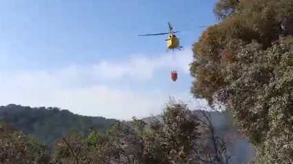 Efectivos trabajando en el paraje Las Lapas, en Constantina