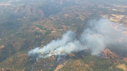 Incendio declarado en el paraje Las Lapas, en Constantina (Sevilla)