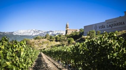 Vides de la bodega centenaria Viña Laguardia