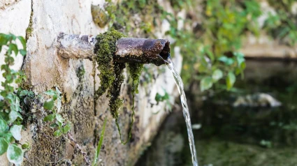 Un empresario uruguayo proyecta en Villablino (León) una embotelladora de agua minero-medicinal y un Museo del Agua