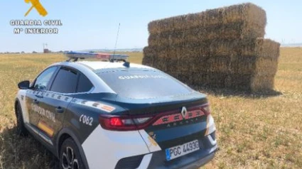 Estafa por alpacas de forraje