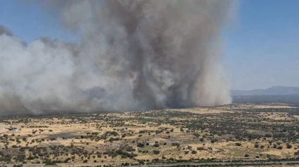 08/08/2025 Incendio en Torrequemada..El Plan de Lucha contra incendios forestales (Infoex) ha activado el nivel 1 de peligro en incendio en la localidad cacereña de Aldea del Cano, inicialmente atribuido a la de Torrequemada, por afección a edificaciones aisladas y una carretera.SOCIEDAD ESPAÑA EUROPA EXTREMADURAINFOEX