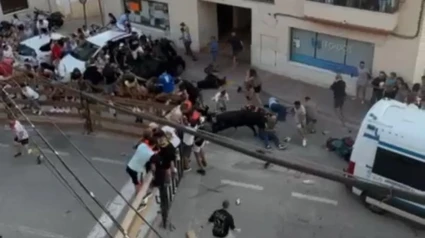 Estampida de un toro en los encierros de Alcalá del Júcar