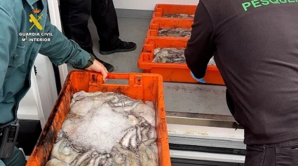 Pescado decomisado en La Rinconada
