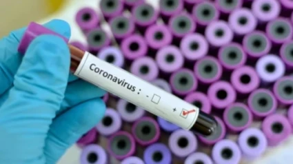 José María Eiros, catedrático de microbiología y directo del centro nacional de gripe