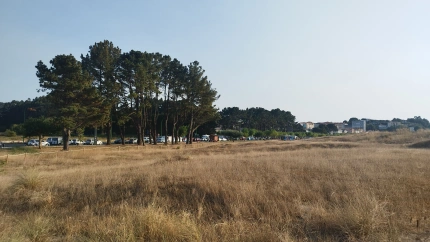 Duna en la Playa Grande de Miño, A Coruña