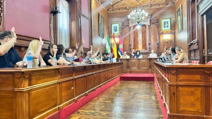 Pleno extraordinario días festivos locales 2026