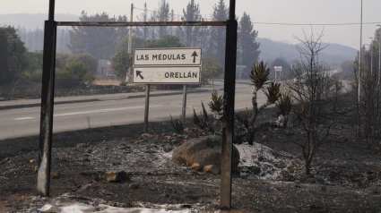 La Junta pagará todos los daños materiales provocados por los incendios forestales