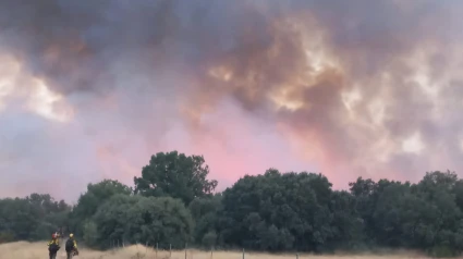 Estado del fuego en la zona de Benavente durante la tarde del domingo