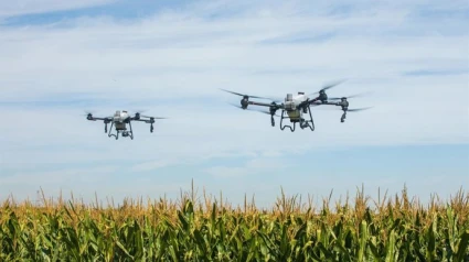 Drones sobre un cultivo