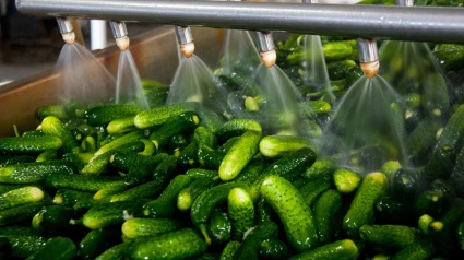 Las exportaciones de frutas y verduras en Andalucía crecen un 11% y superan los 4.555 M€ entre enero y mayo de 2025