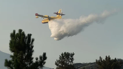 Avioneta apagando un incendio