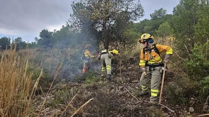 Incendio forestal