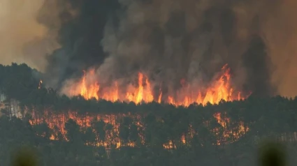 Incendio forestal en Extremadura