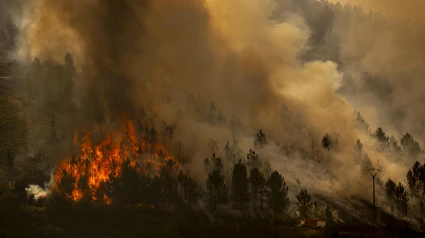 Vista del incendio de Maceda (Ourense, entre cinco y seis puntos que prendieron casi a la vez