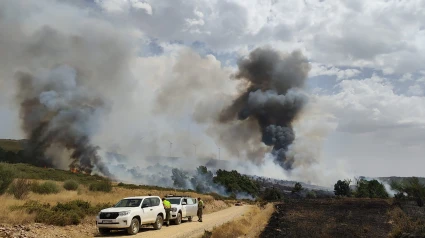 Frente del fuego en Abejera