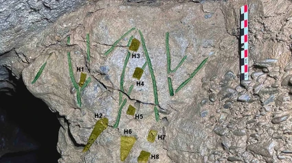 (Foto de ARCHIVO)Detalle de la inscripción. En verde, los trazos de la misma, y en amarillo, las huellas realizadas posteriormente con una punterola.REMITIDA / HANDOUT por GOBIERNO DE NAVARRAFotografía remitida a medios de comunicación exclusivamente para ilustrar la noticia a la que hace referencia la imagen, y citando la procedencia de la imagen en la firma21/10/2024