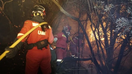(Foto de ARCHIVO)Militares de la UME colaboran en las labores de extinción del incendio declarado este jueves en Méntrida (Toledo)REMITIDA / HANDOUT por MINISTERIO DE DEFENSAFotografía remitida a medios de comunicación exclusivamente para ilustrar la noticia a la que hace referencia la imagen, y citando la procedencia de la imagen en la firma18/7/2025