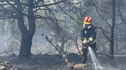 Incendios provocados en La TardeREMITIDA / HANDOUT por EMERGENCIAS 112 MADRIDFotografía remitida a medios de comunicación exclusivamente para ilustrar la noticia a la que hace referencia la imagen, y citando la procedencia de la imagen en la firma13/8/2025