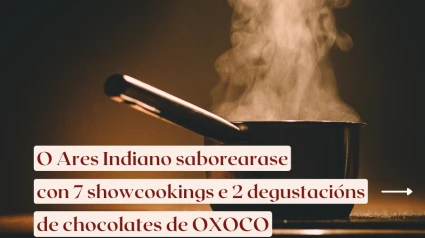 Cartel de la propuesta del Ares Indiano
