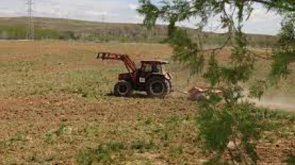 Tractor realizando trabajos en el campo