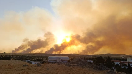 Preocupa el incendio forestal en Pallares