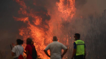 Varias personas luchan contra las llamas del incendio de A Gudiña (Ourense), este jueves