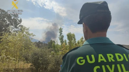 Incendio de Jarilla