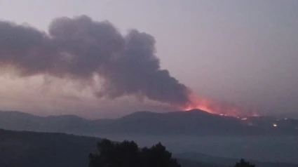 Incendio de Jarilla