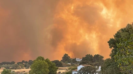 Incendio en Casae de Cáceres