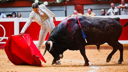 Derechazo de Olga Casado al novillo al que cortó una oreja este viernes en San Sebastián