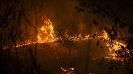 Las llamas devoran todo a su paso en el incendio forestal en A Rúa (Ourense)
