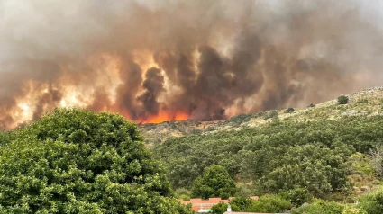 Incendio en Jarilla