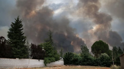 El avance de las llamas en la provincia de León del incendio iniciado en Molezuelas de la Carballeda (Zamora)