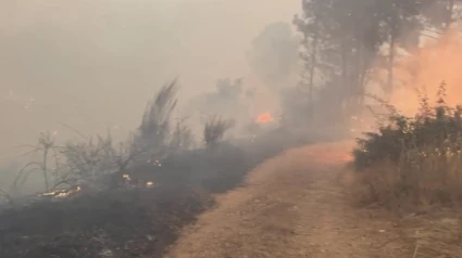 El fuego causa estragos y deja una cortina de humo por toda la provincia