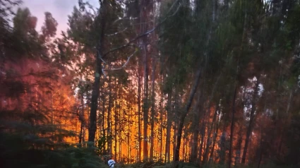 Inicio del fuego este domingo en Monfero