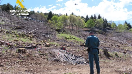 Foto de archivo de un agente investigando un incendio