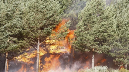 Los brigadistas intentan contener el incendio en la zona limítrofe entre Ourense y Zamora