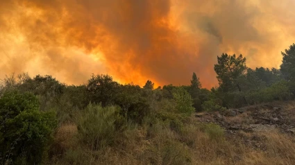 Incendio forestal en Quiroga