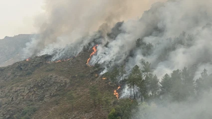 Incendio forestal en Quiroga