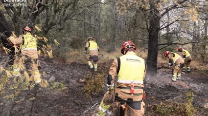 Incendio forestal declarado este lunes en Castellón