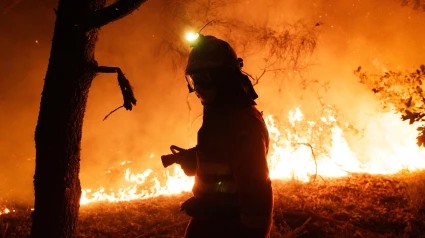 Lucha contra el fuego en el incendio que calcina Oimbra (Ourense)