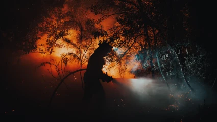 Lucha contra el fuego en el incendio que calcina Oimbra (Ourense)