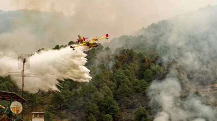 EL ARENAL (ÁVILA), 30/07/2025.- La situación del incendio que se declaró en la noche del lunes en el Barranco de las Cinco Villas, al sur de Ávila, y que avanza en dirección al municipio de El Arenal, es "muy complicada", según el director técnico de extinción, Ángel Iglesias, quien ha reconocido que "no hay nada favorable que poder decir". En declaraciones remitidas a los medios de comunicación, Iglesias ha señalado que el perímetro del incendio se encuentra "abierto en todos los frentes", de manera que existen "muy pocas zonas en las que se pueda decir que no hay llama". EFE/ Raúl Sanchidrián