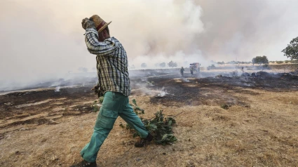 Un voluntario trabaja en la extinción del incendio forestal