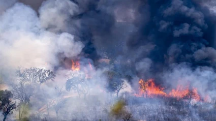 foto humo